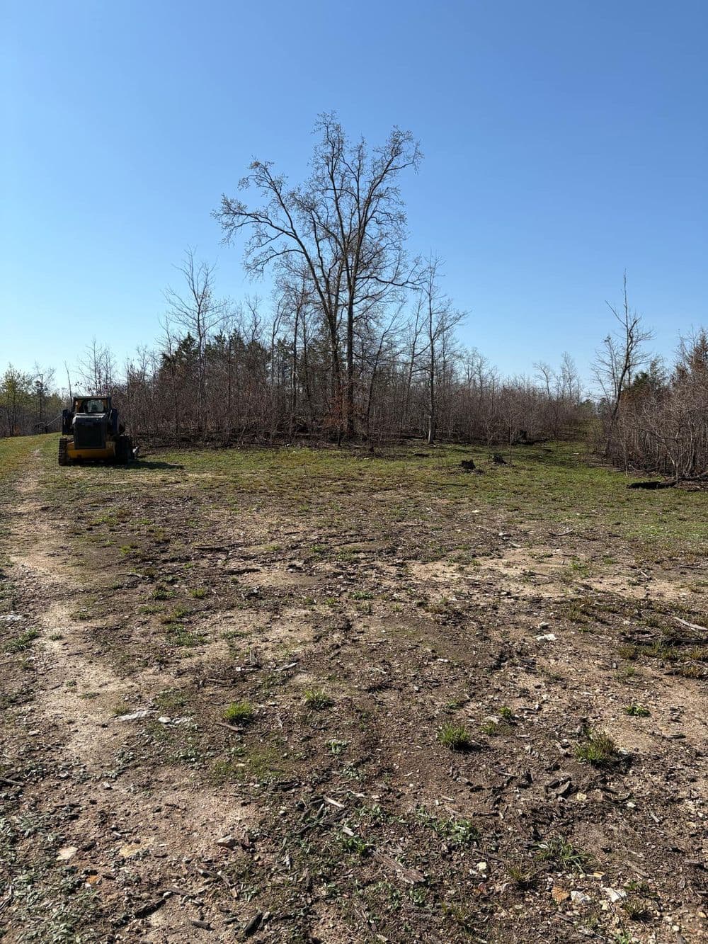 Cleared landscape with a machine, bare soil, and sparse trees against a clear blue sky.